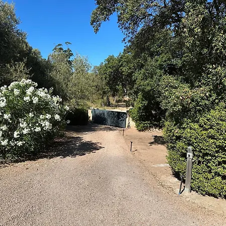 Ferienhaus Superbe T3 A 10 Mn De La Figari (Corsica)
