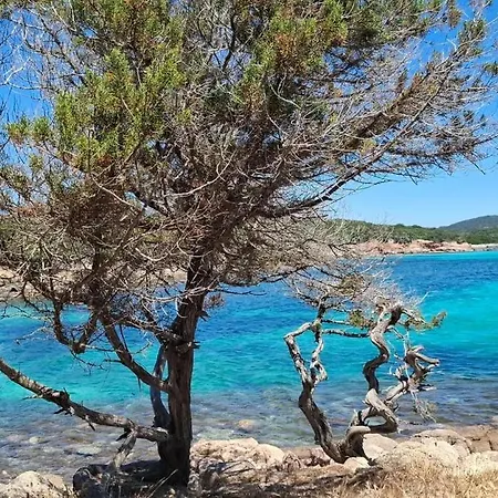 Ferienhaus Superbe T3 A 10 Mn De La Figari (Corsica)